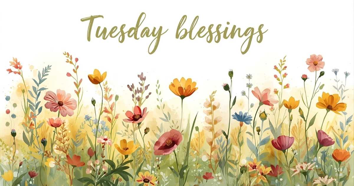 Tuesday Blessings