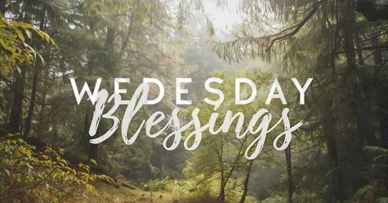 Wednesday Blessings