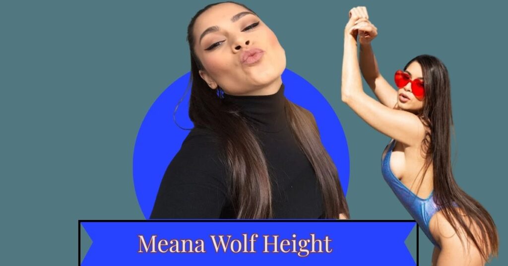 Meana Wolf Height